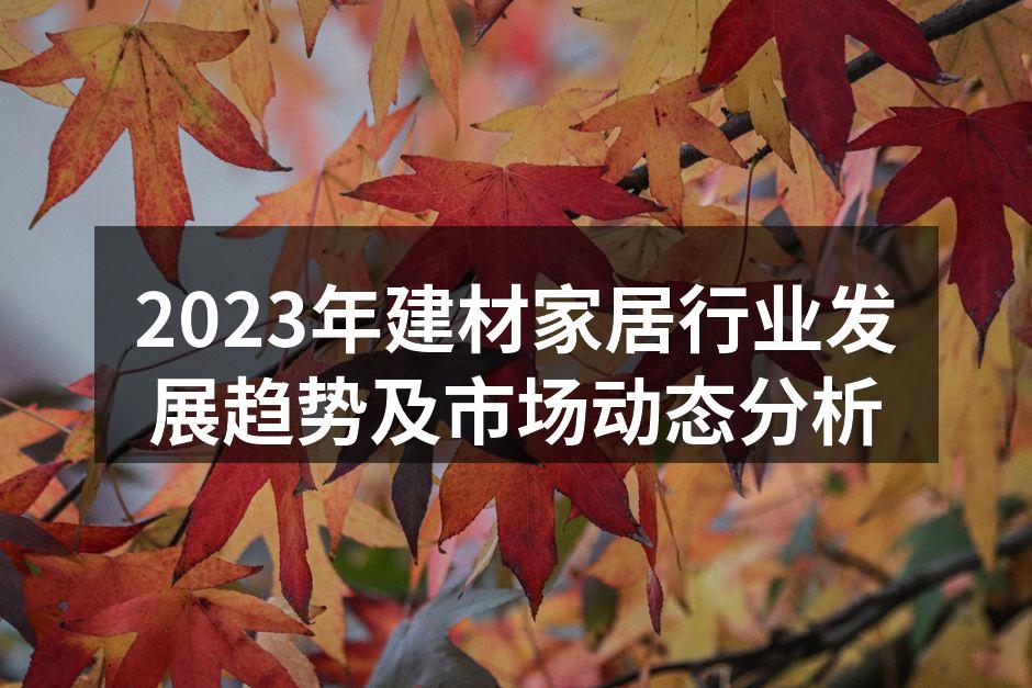 现代家居环境关注舒适与功能