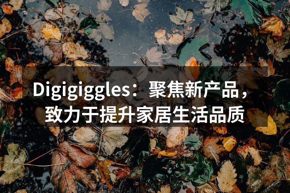 Digigiggles新产品发布会现场