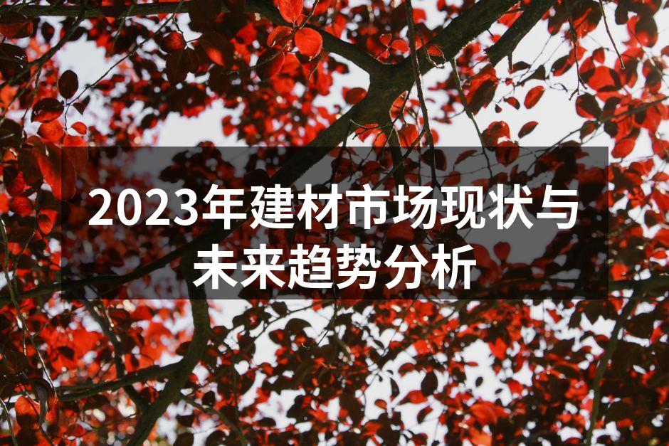 2023年建材市场分析